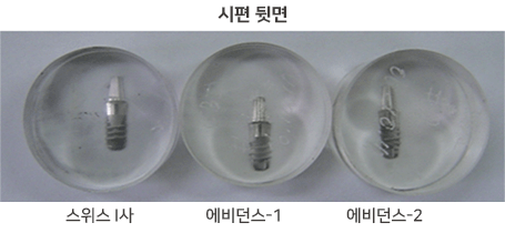 시편 뒷면 비교